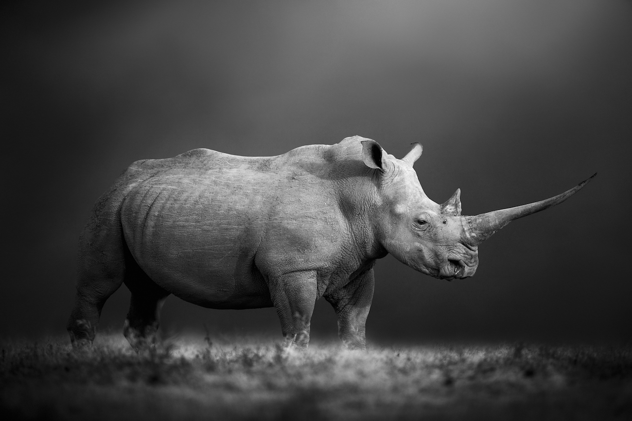 Bjorn Persson, "Natural Power."