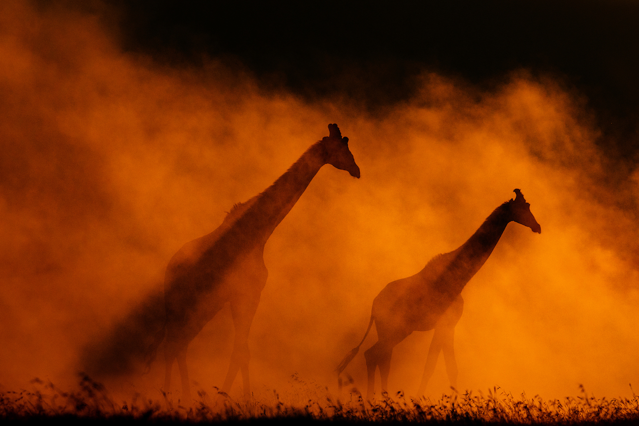 Rahul Sachdev, "Blazing Through."