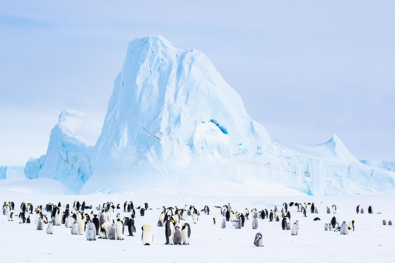 Stefan Christmann, "The Sentinel."