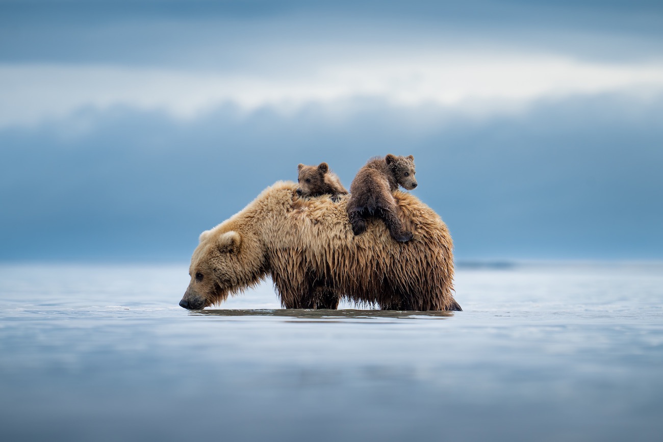 Casey Cooper, "Lifeboat."