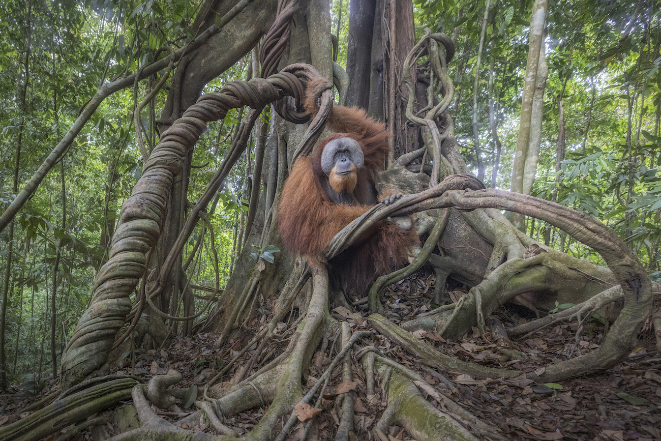 Marco Gaiotti, "Ancient Balance."