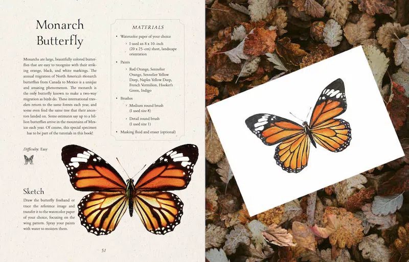 Watercolor Cabinet of Curiosities