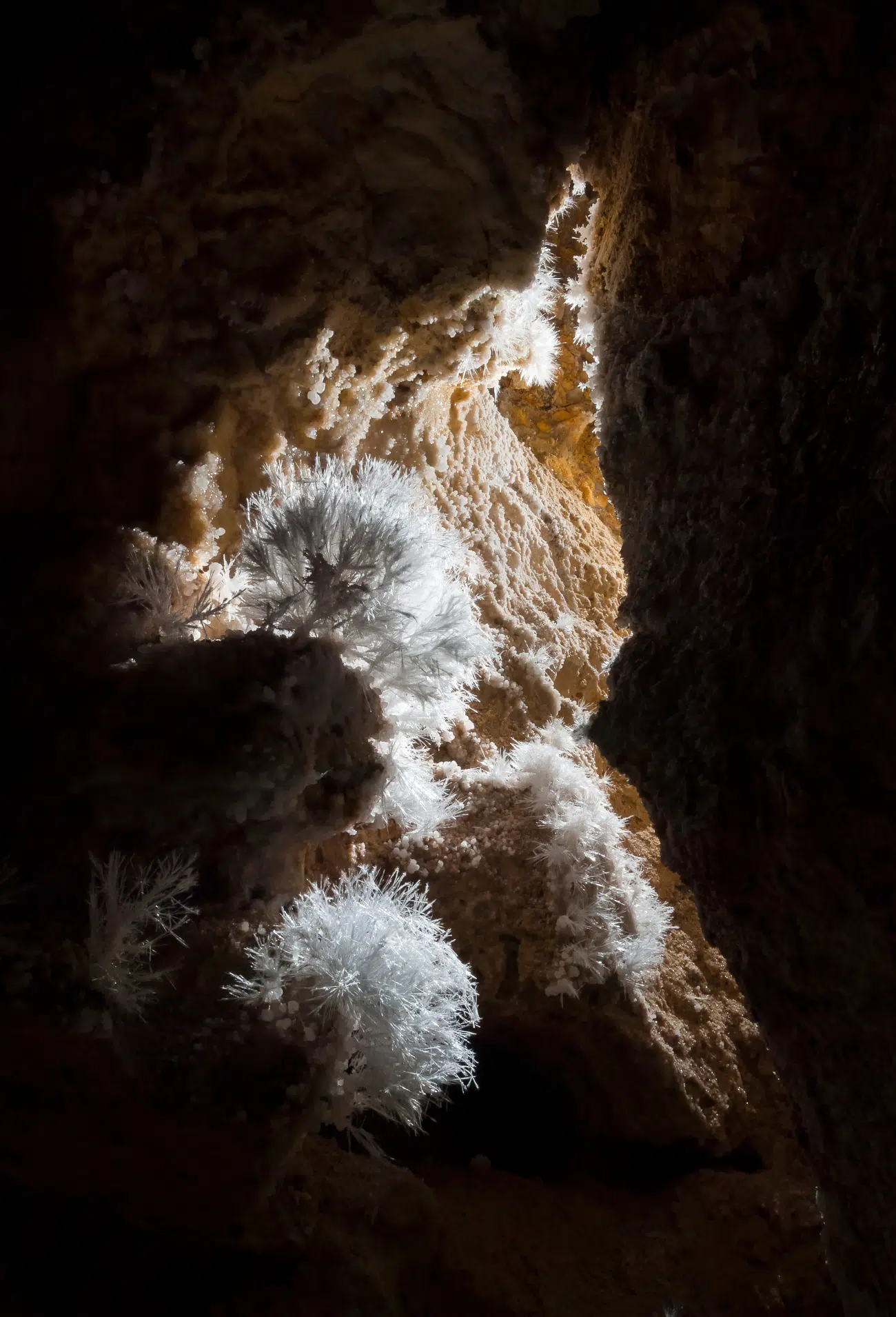 Formation in Lechuguilla Cave