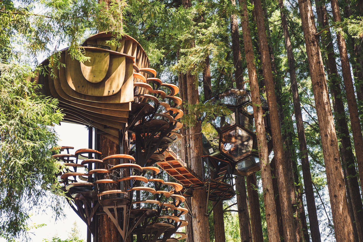 Redwood Ripple Treehouse de O2 Treehouse