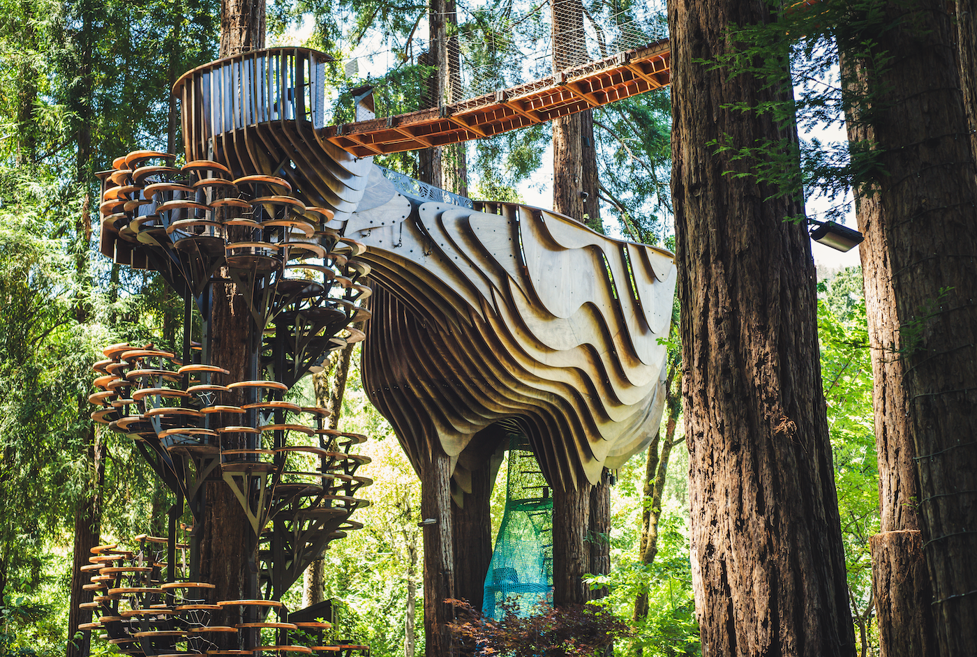 Redwood Ripple Treehouse de O2 Treehouse
