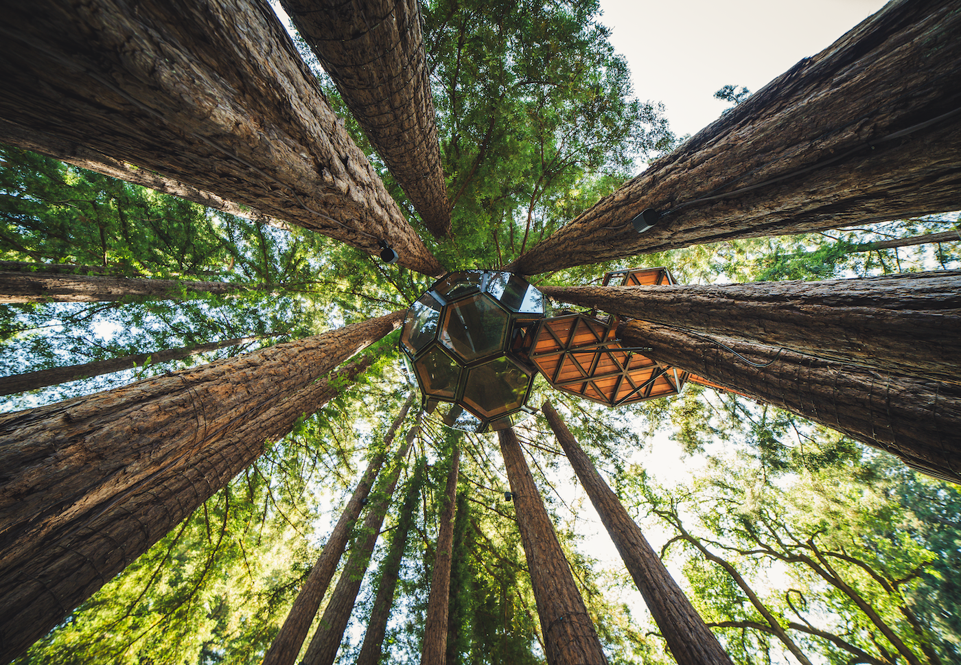 Redwood Ripple Treehouse de O2 Treehouse