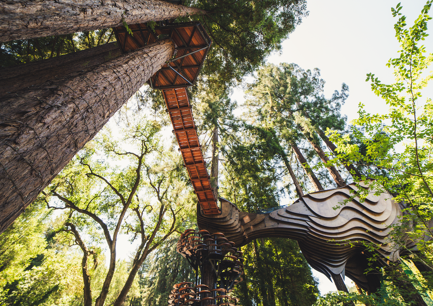 Redwood Ripple Treehouse de O2 Treehouse