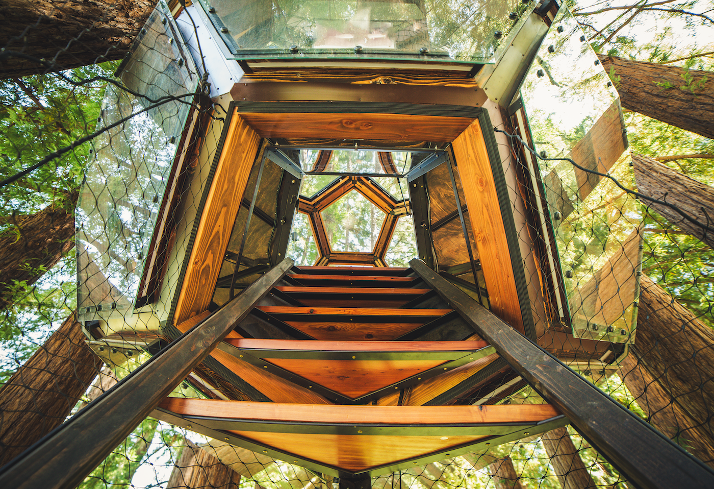 Redwood Ripple Treehouse de O2 Treehouse