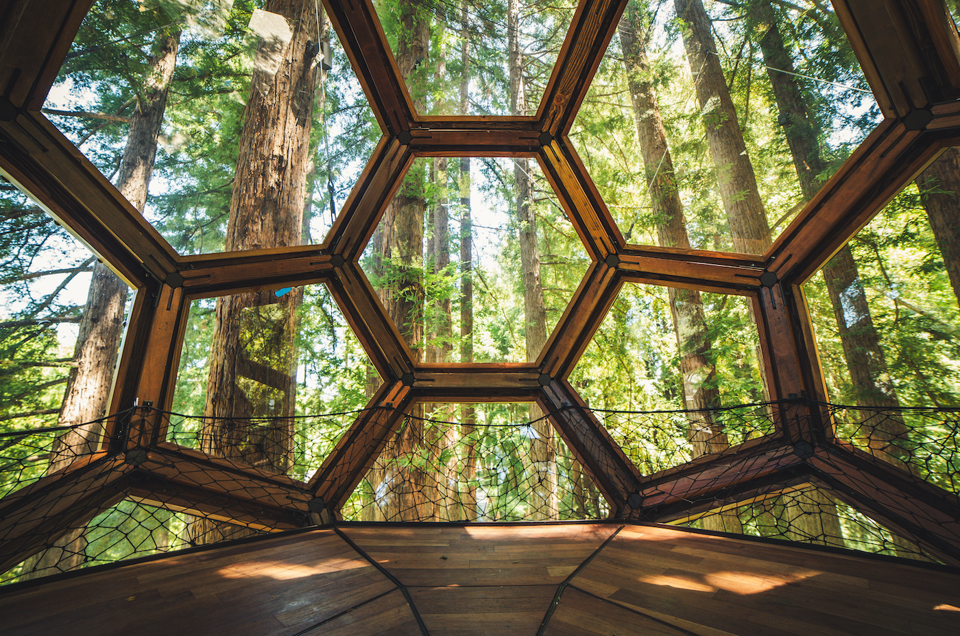 Redwood Ripple Treehouse de O2 Treehouse