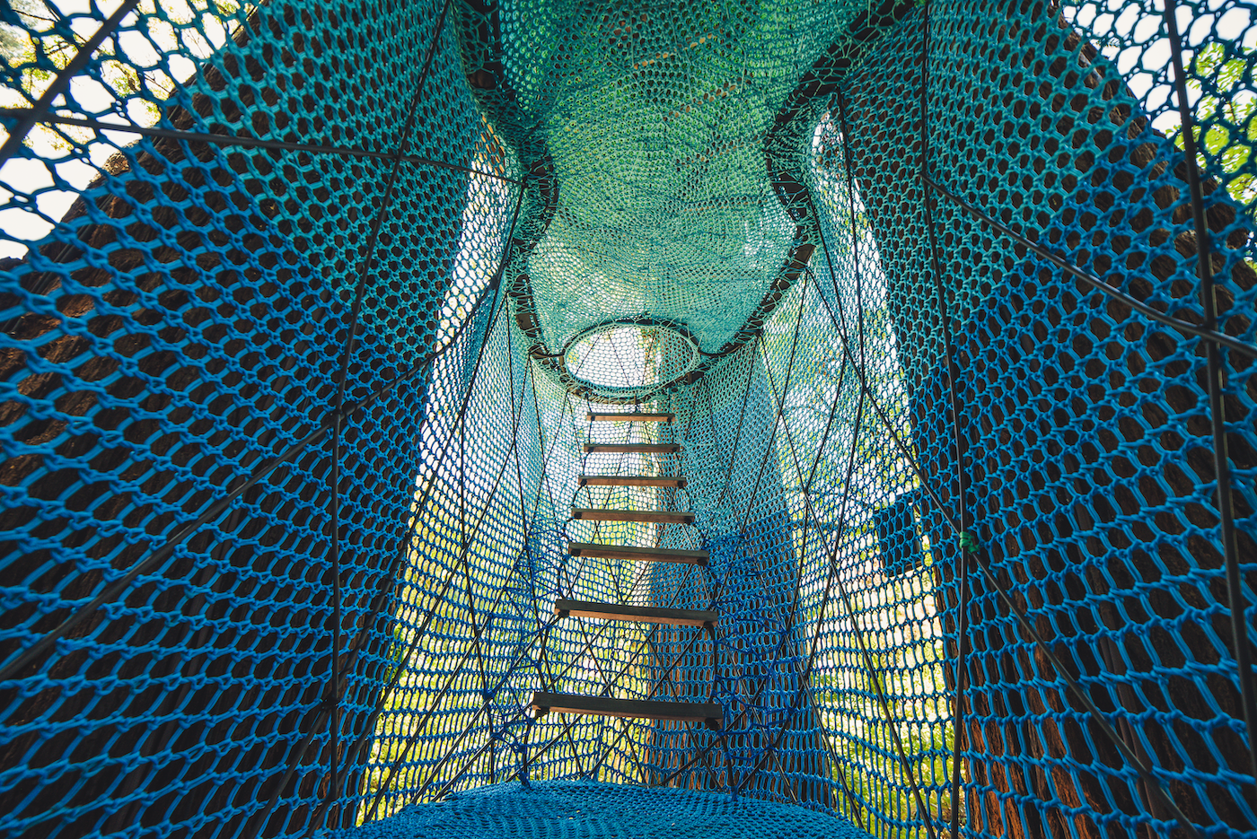 Redwood Ripple Treehouse de O2 Treehouse