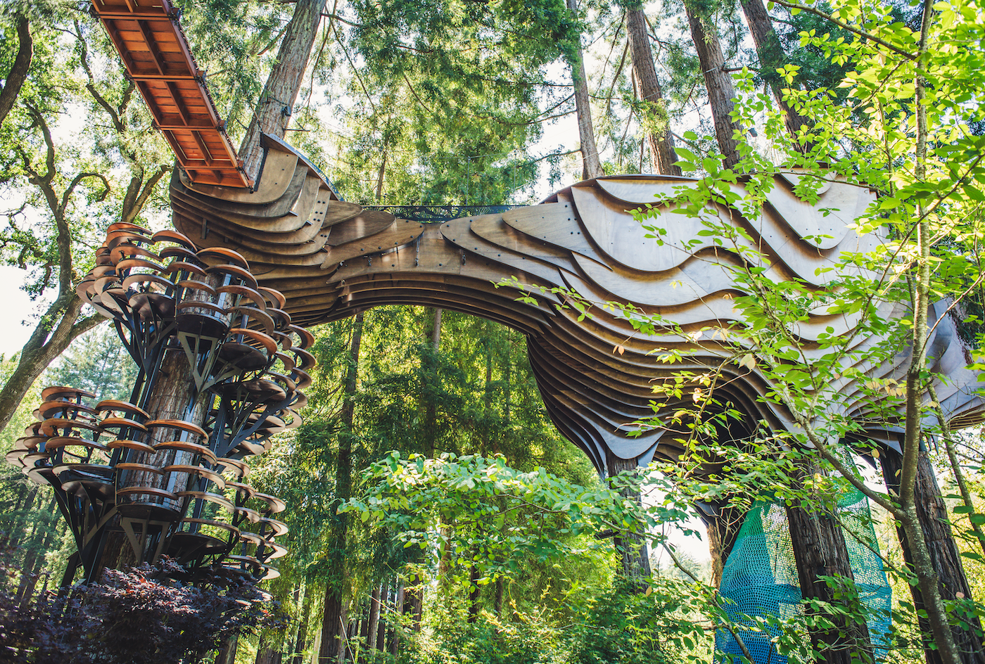 Redwood Ripple Treehouse de O2 Treehouse