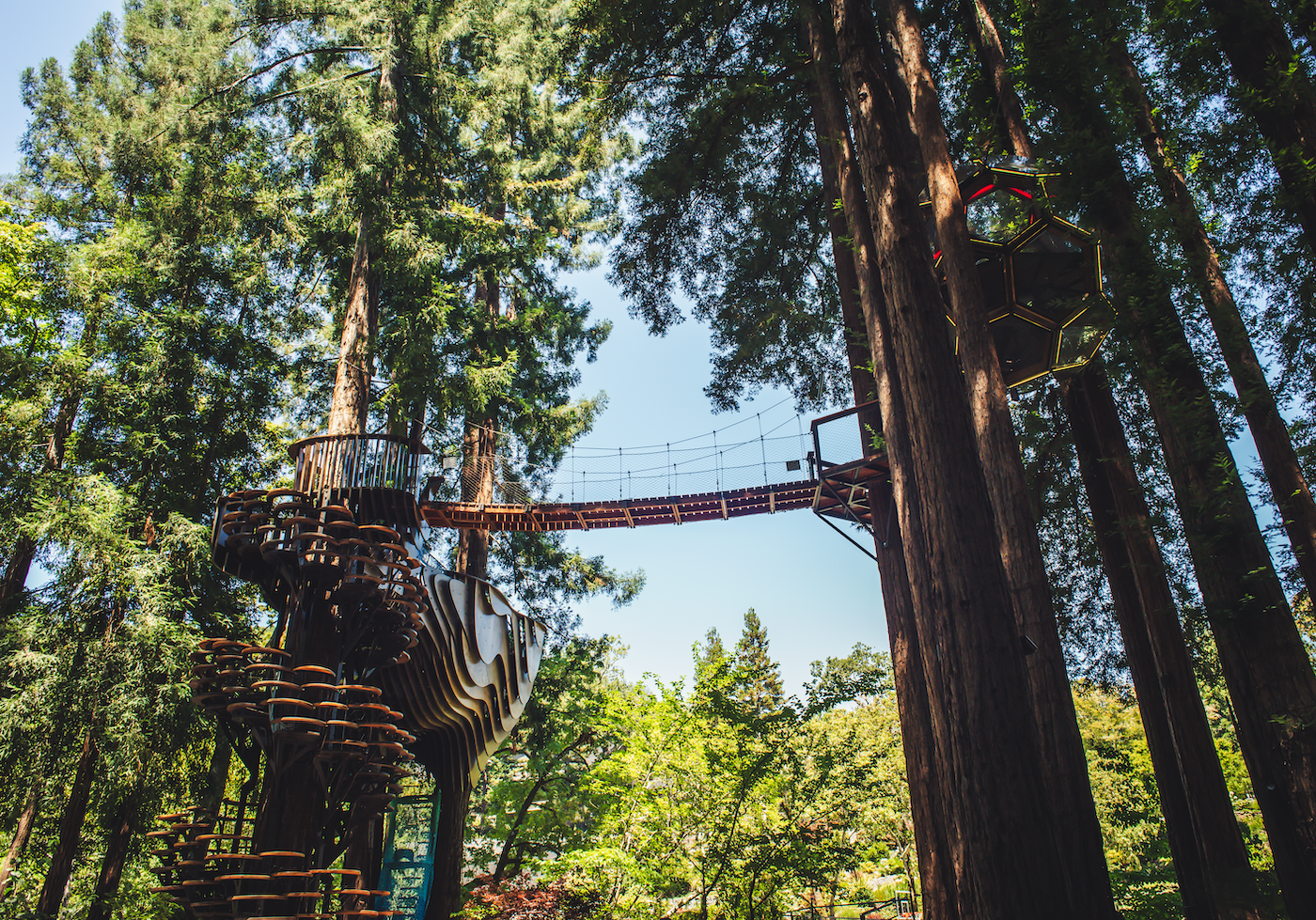Redwood Ripple Treehouse de O2 Treehouse