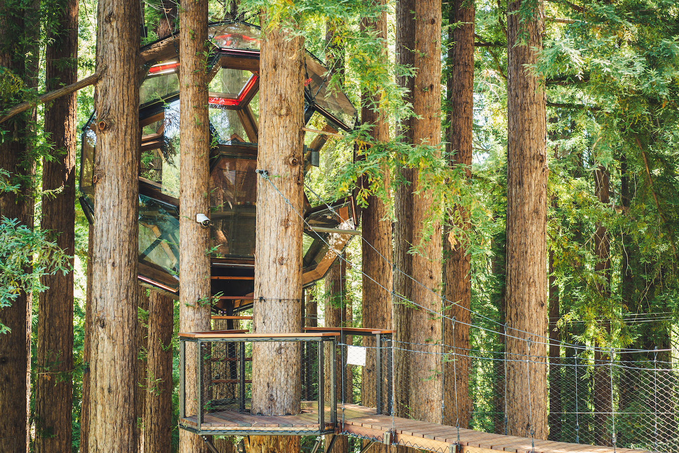 Redwood Ripple Treehouse de O2 Treehouse