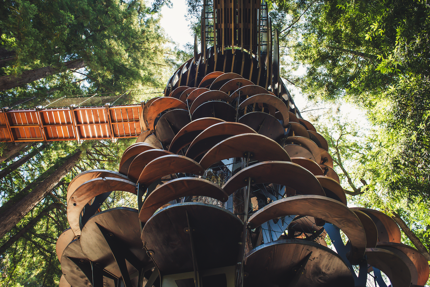 Redwood Ripple Treehouse de O2 Treehouse