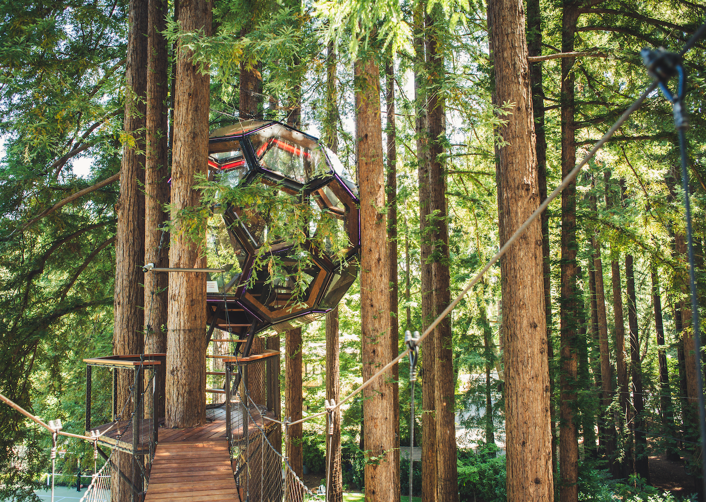 Redwood Ripple Treehouse de O2 Treehouse