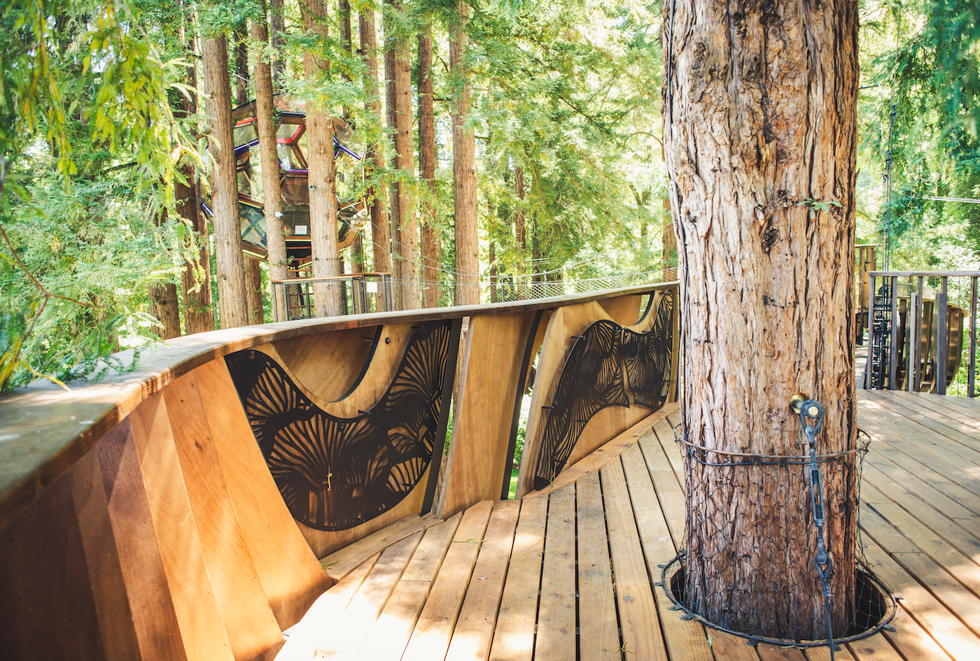Redwood Ripple Treehouse de O2 Treehouse