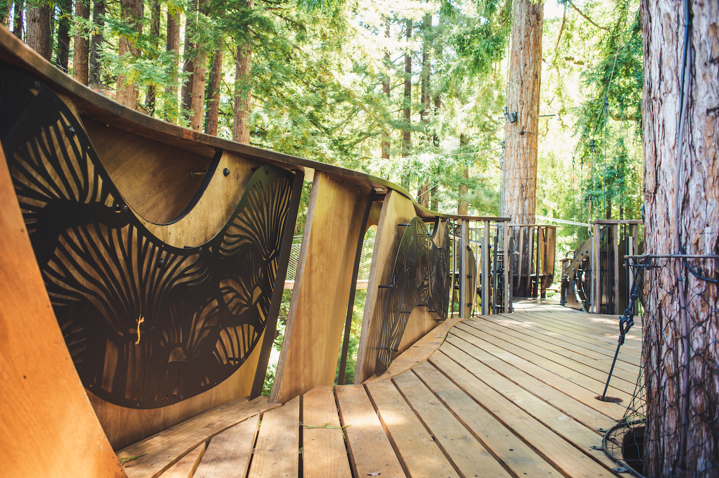 Redwood Ripple Treehouse de O2 Treehouse