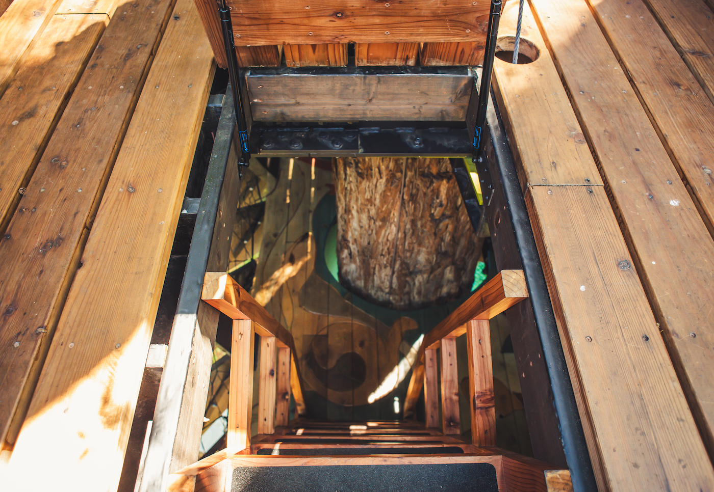 Redwood Ripple Treehouse de O2 Treehouse