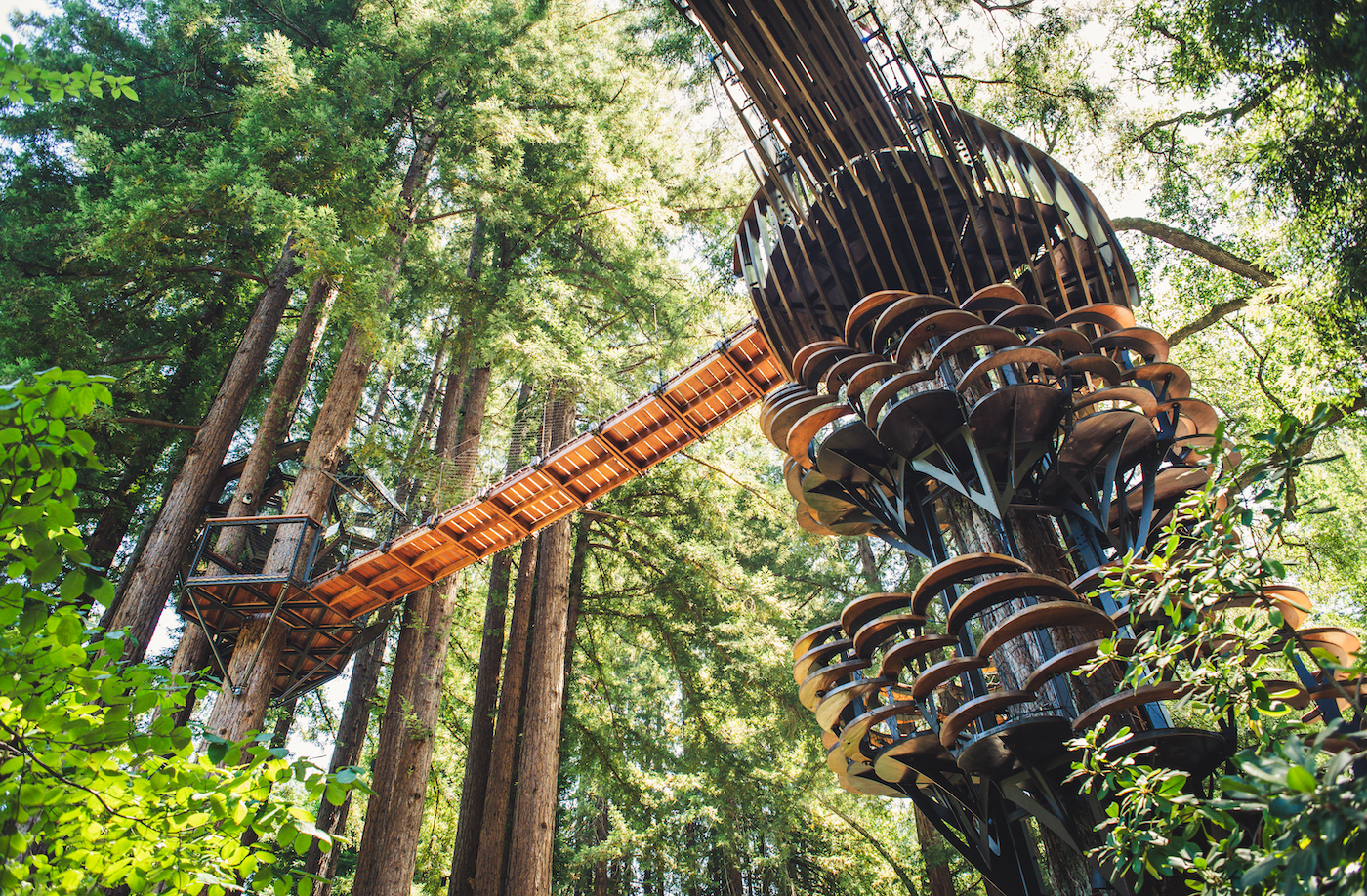 Redwood Ripple Treehouse de O2 Treehouse