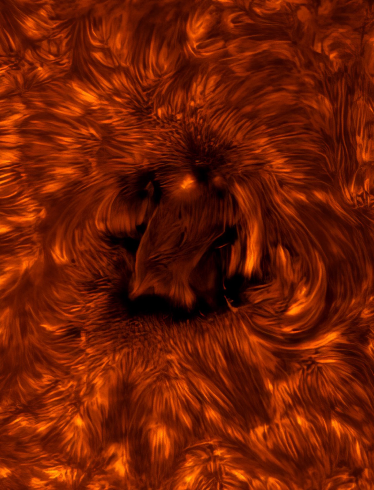 Active region of the sun's chromosphere