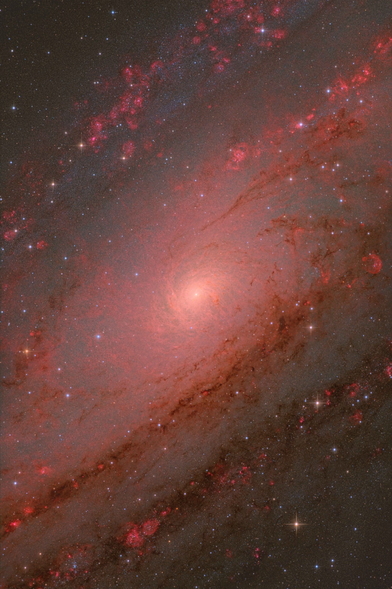 Core of the Andromeda Galaxy