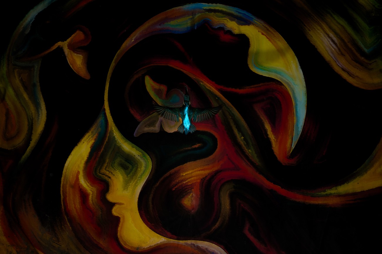 Creative bird photography