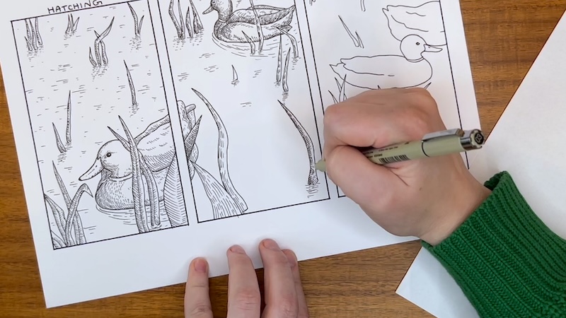 Elevate your drawing skills with these online classes