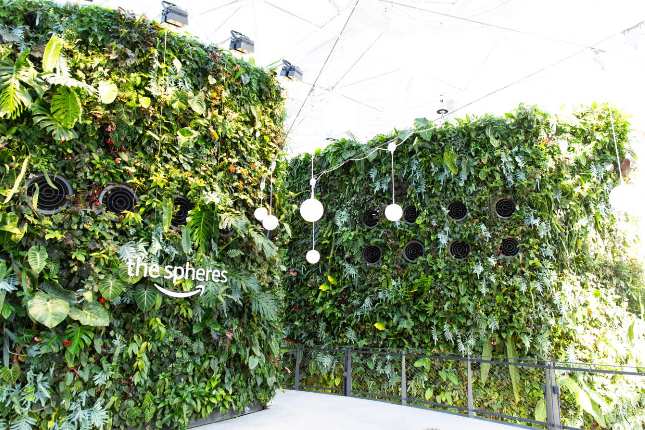 Amazon Spheres living wall