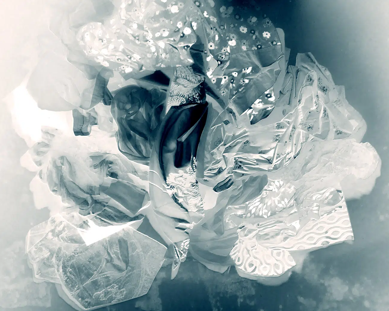 Photography by Christy Lee Rogers