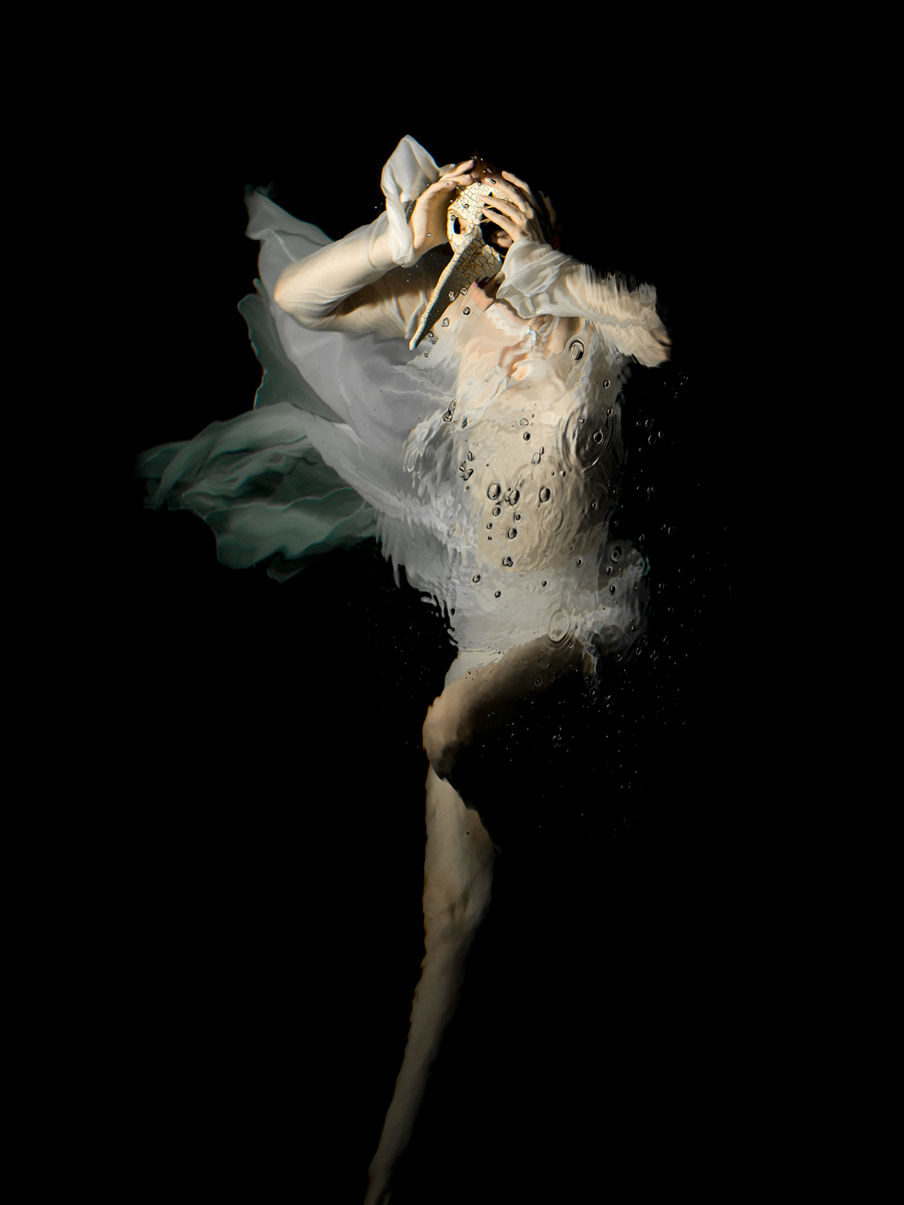 Photography by Christy Lee Rogers