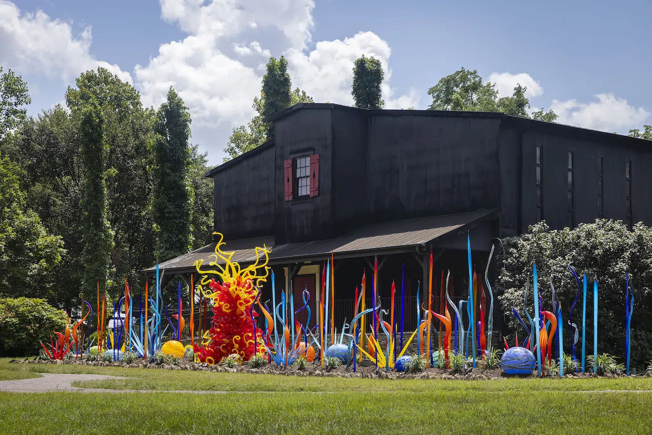 Installation view of Dale Chihuly's sculpture exhibition at Maker’s Mark in Bardstown, Kentucky.