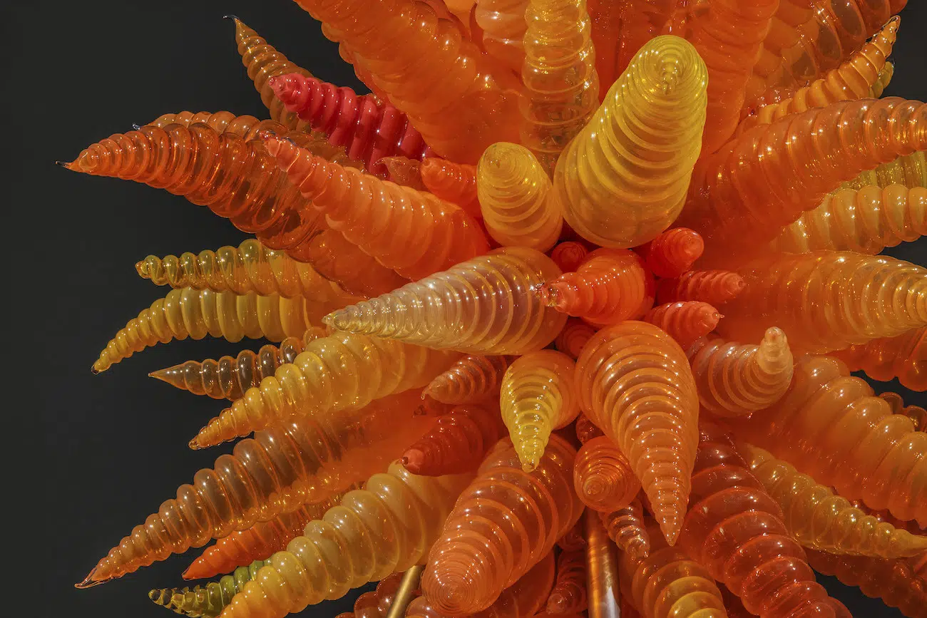 Installation view of Dale Chihuly's sculpture exhibition at Maker’s Mark in Bardstown, Kentucky.