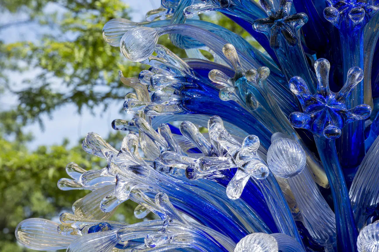 Installation view of Dale Chihuly's sculpture exhibition at Maker’s Mark in Bardstown, Kentucky.