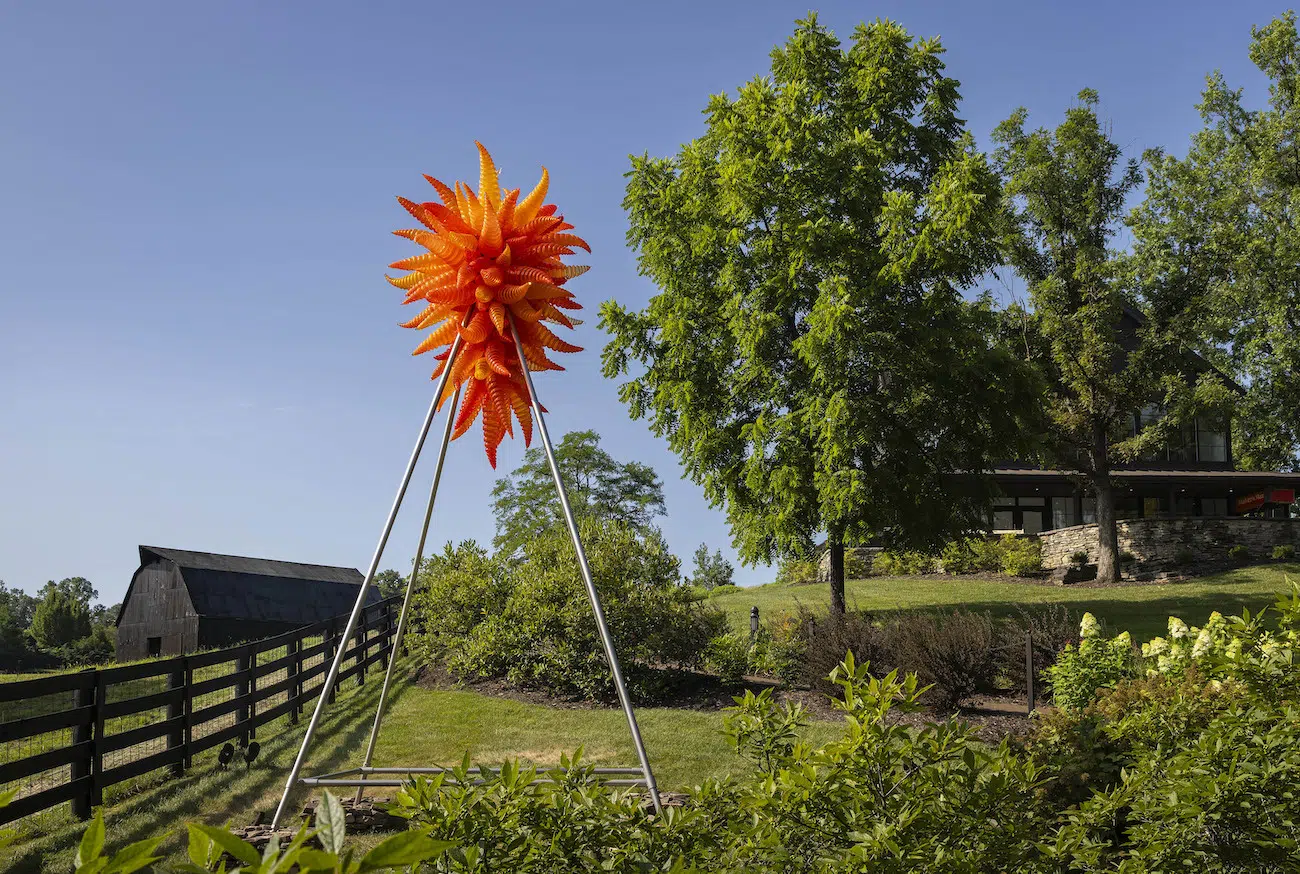 Installation view of Dale Chihuly's sculpture exhibition at Maker’s Mark in Bardstown, Kentucky.