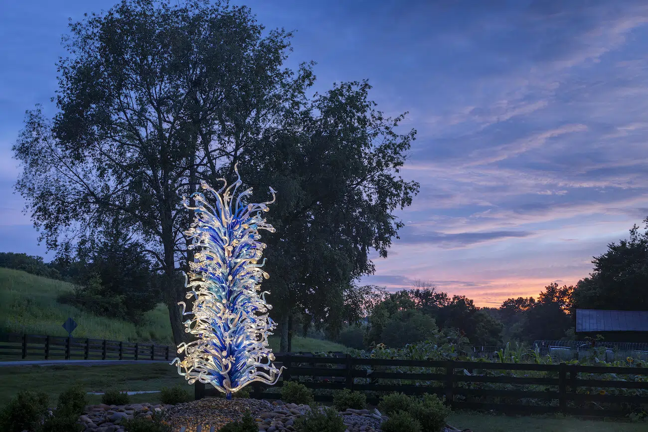 Installation view of Dale Chihuly's sculpture exhibition at Maker’s Mark in Bardstown, Kentucky.