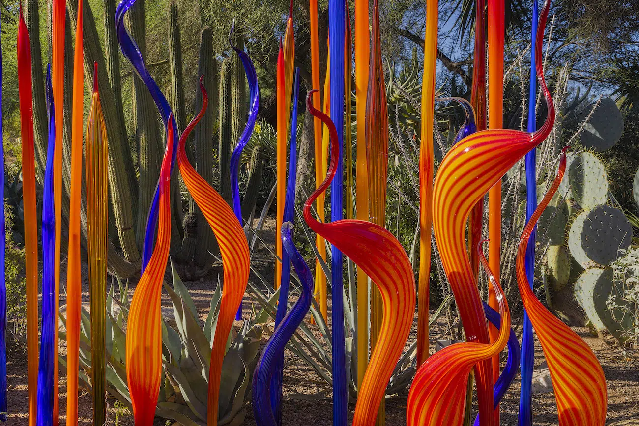 Installation view of Dale Chihuly's sculpture exhibition at Maker’s Mark in Bardstown, Kentucky.