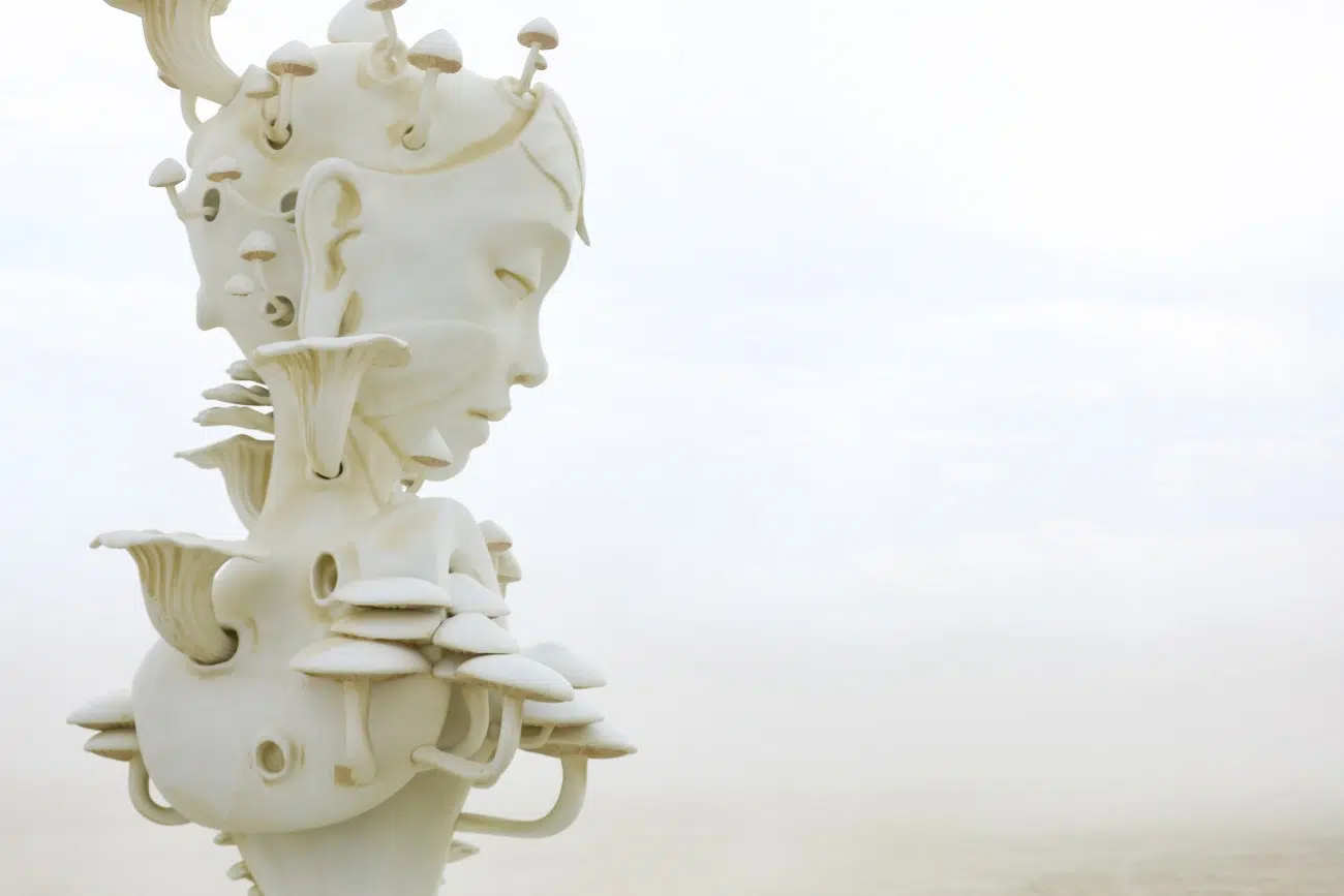 Daniel Popper sculpture at Burning Man 2025