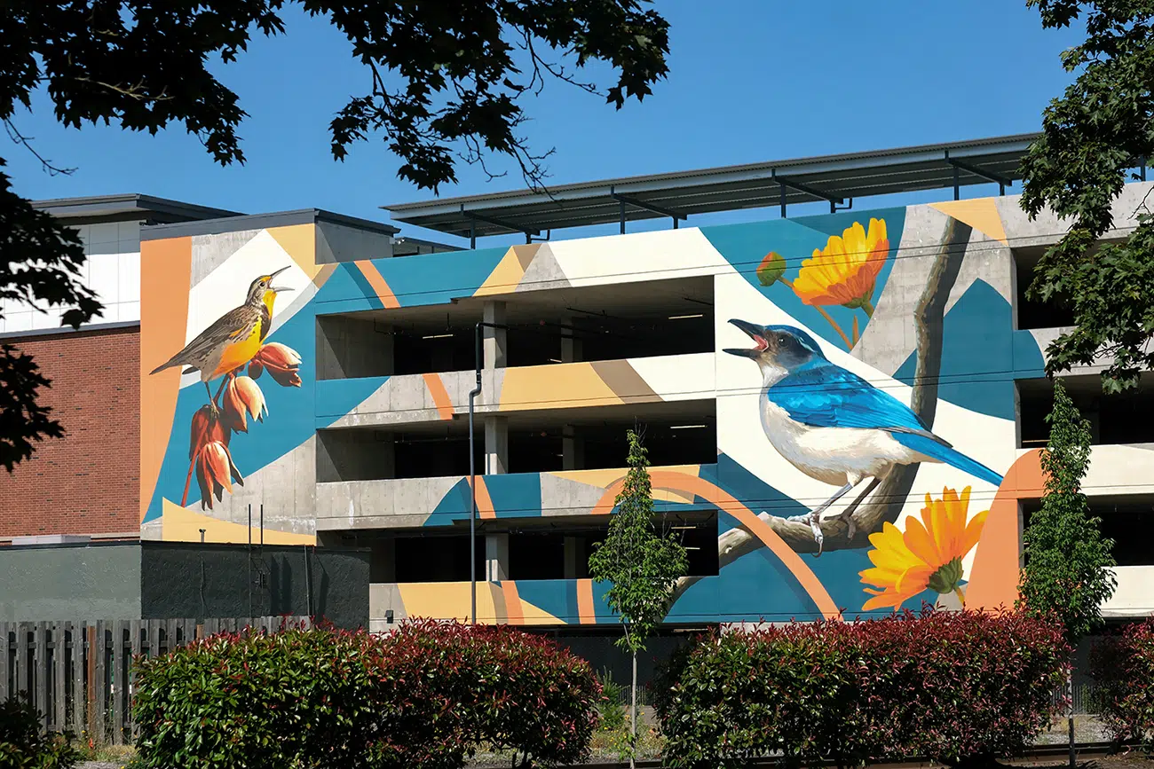 David Rice Mural Art