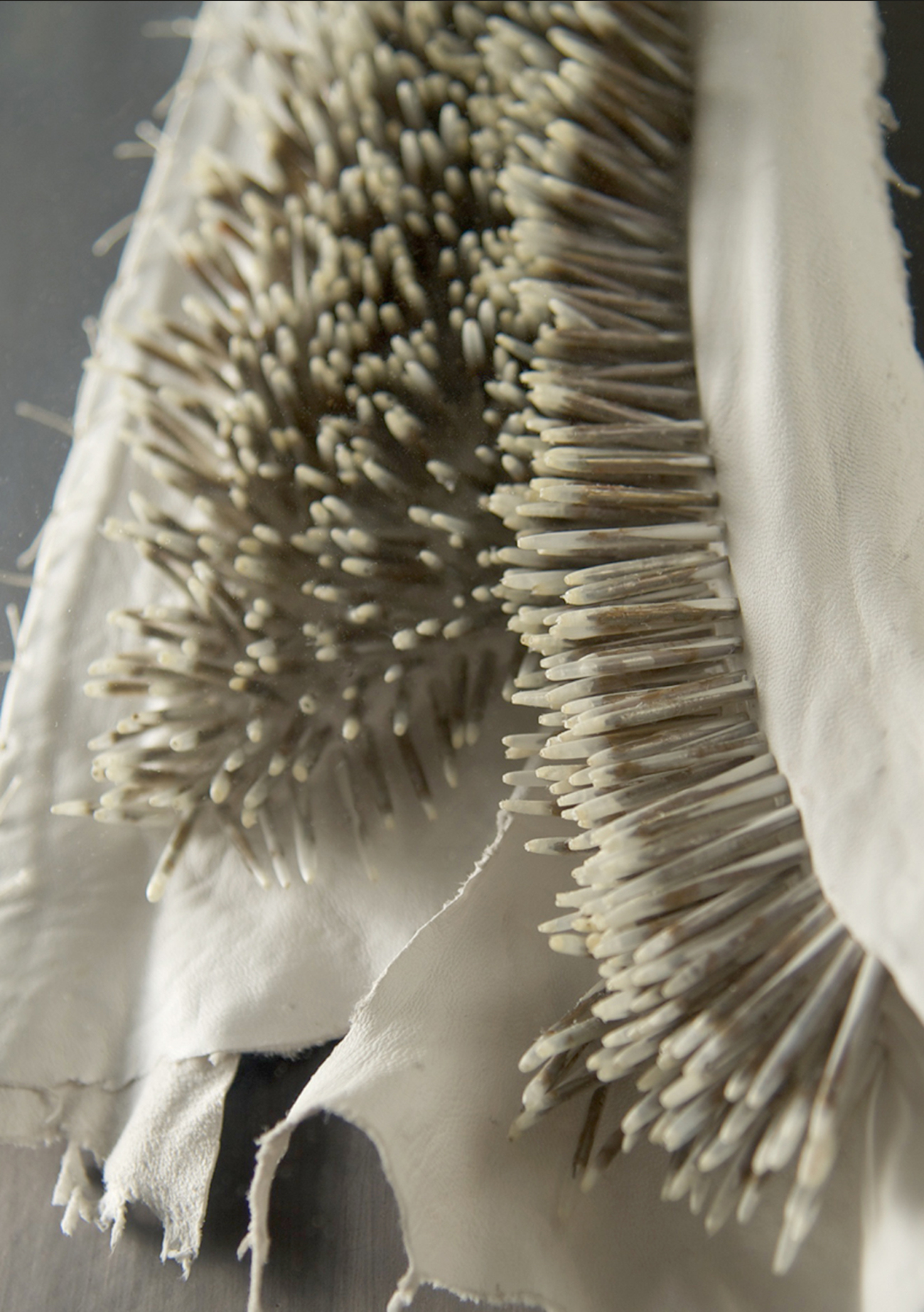 Detail from "Pelt," 2015. (Photo: JP Bland)