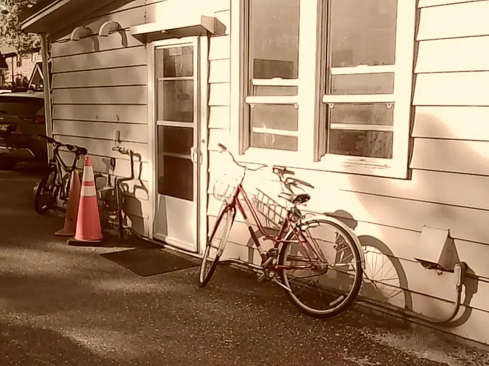 Image taken on a Kodak Charmera