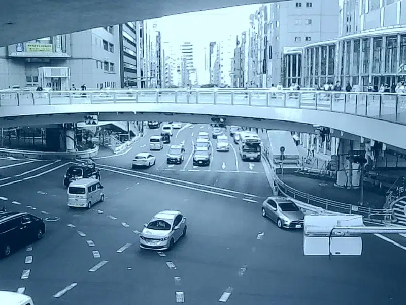 Image taken on a Kodak Charmera