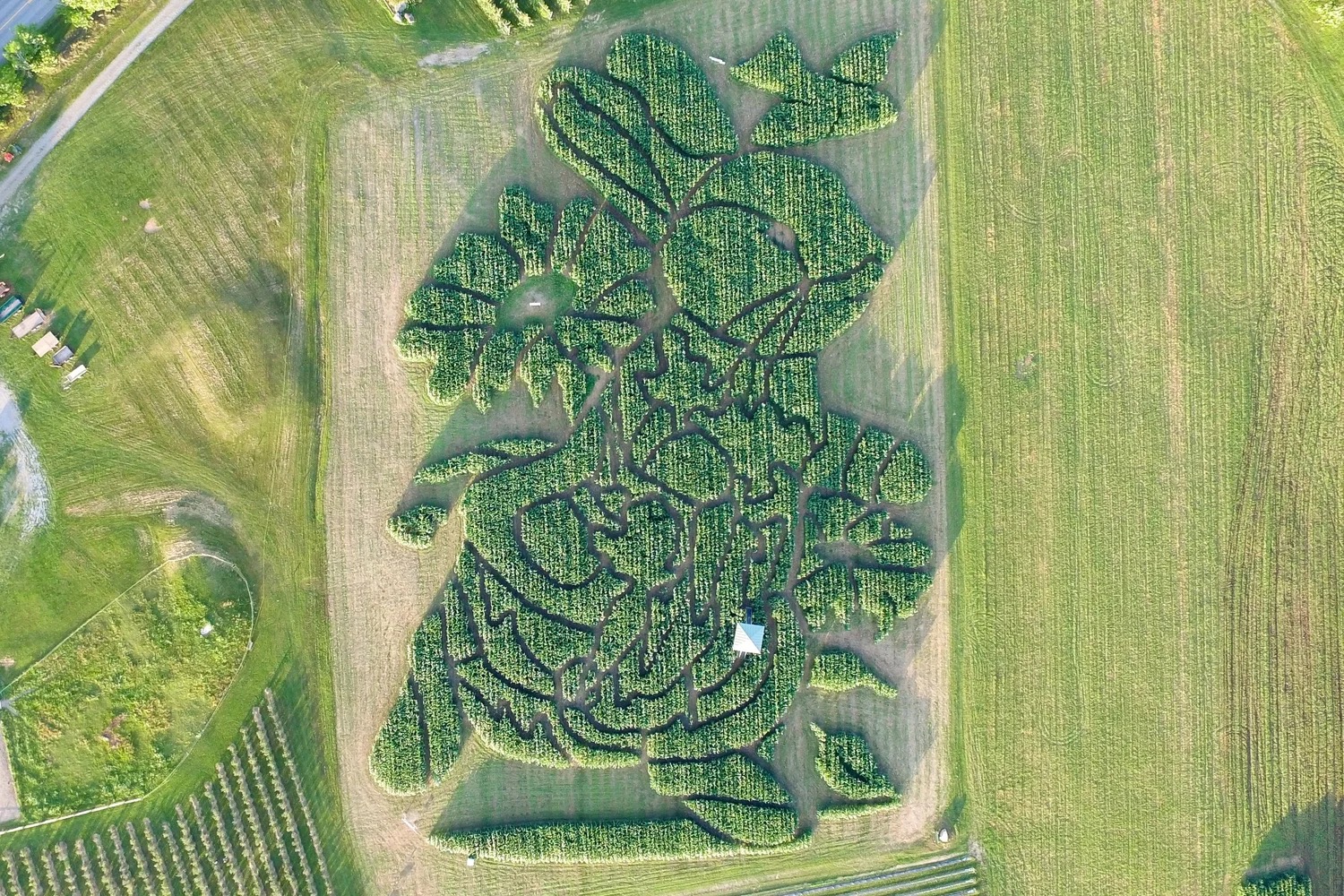Treworgy Family Orchards in Maine has been recognized by USA Today as having cultivated the "Best Corn Maze" in the nation for the fourth consecutive year.
