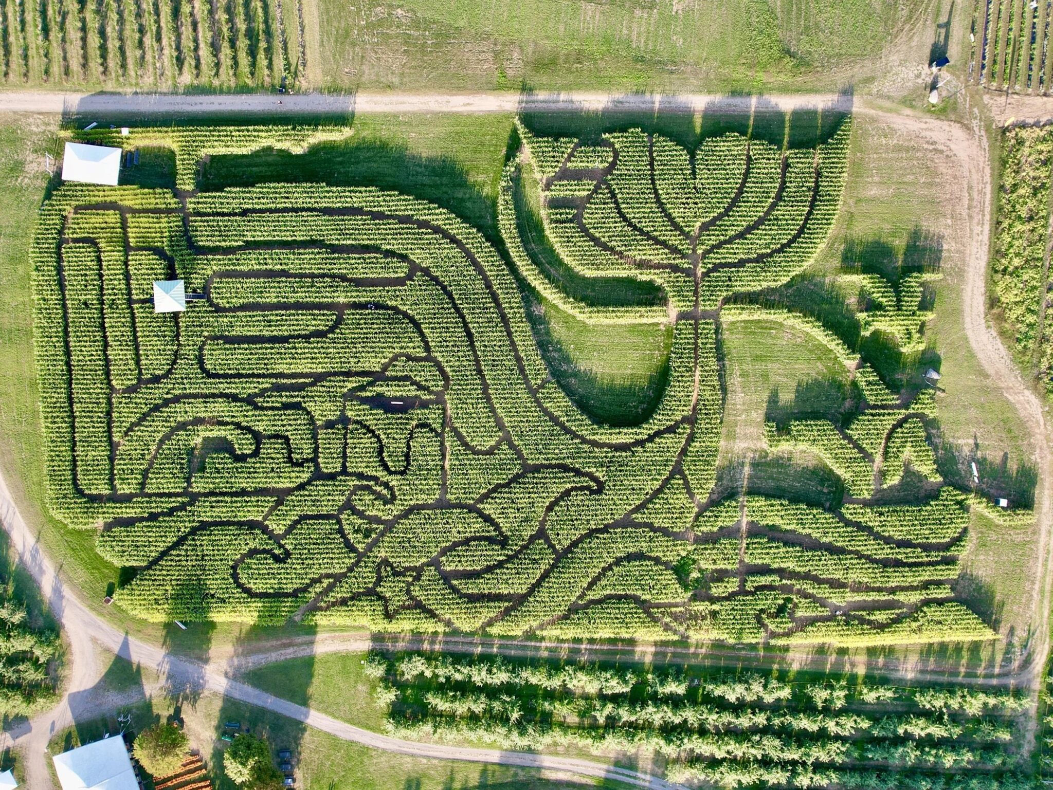 Treworgy Family Orchards in Maine has been recognized by USA Today as having cultivated the "Best Corn Maze" in the nation for the fourth consecutive year.