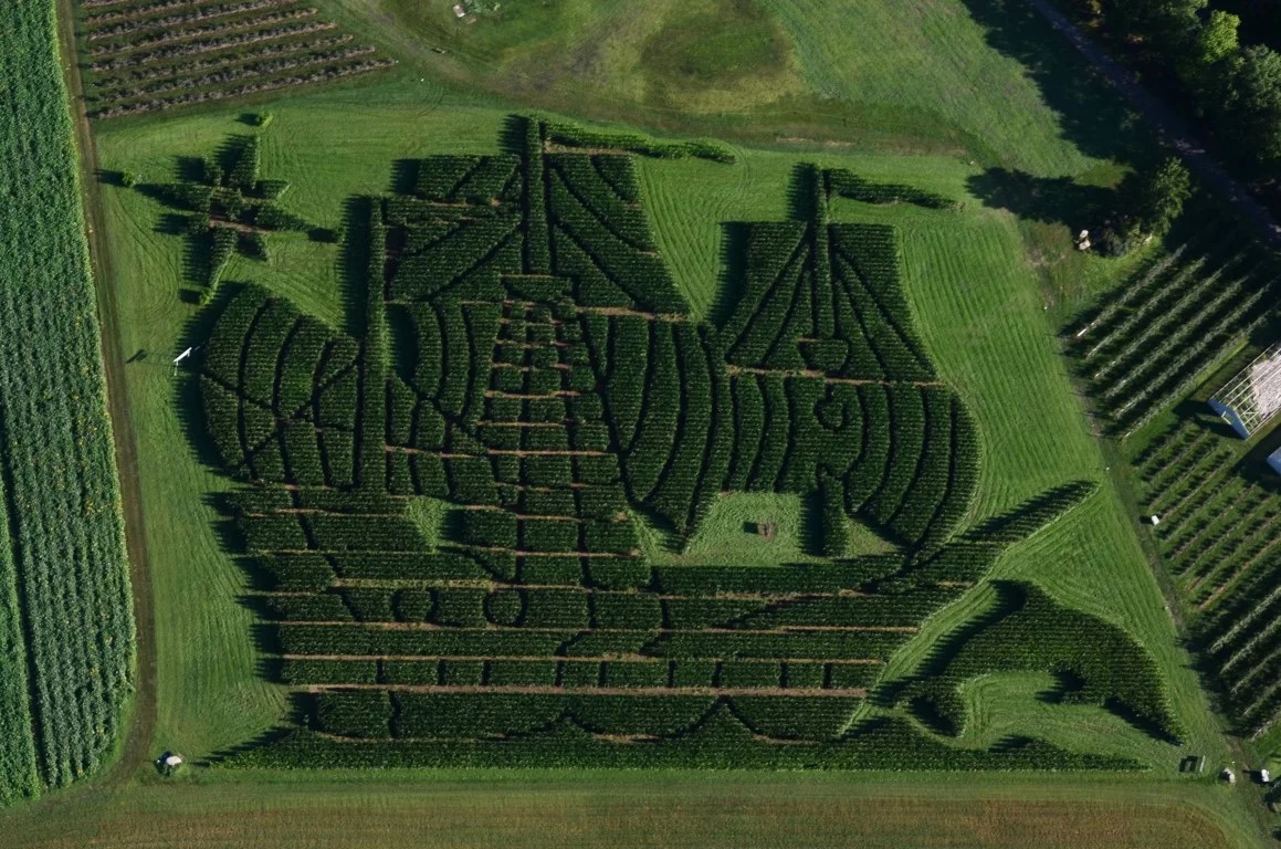 Treworgy Family Orchards in Maine has been recognized by USA Today as having cultivated the "Best Corn Maze" in the nation for the fourth consecutive year.
