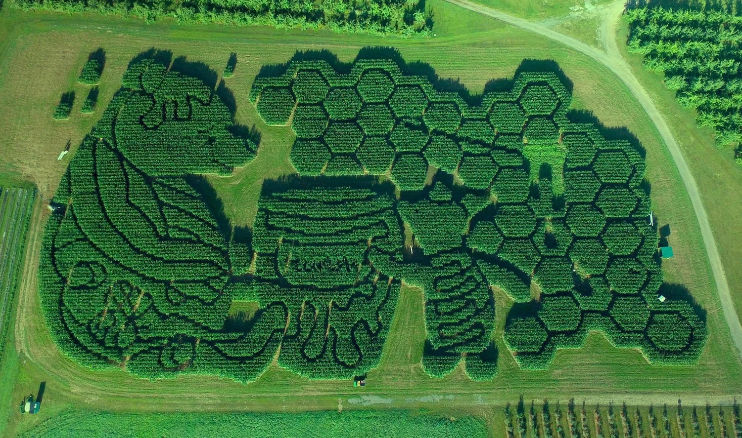 Treworgy Family Orchards in Maine has been recognized by USA Today as having cultivated the "Best Corn Maze" in the nation for the fourth consecutive year.