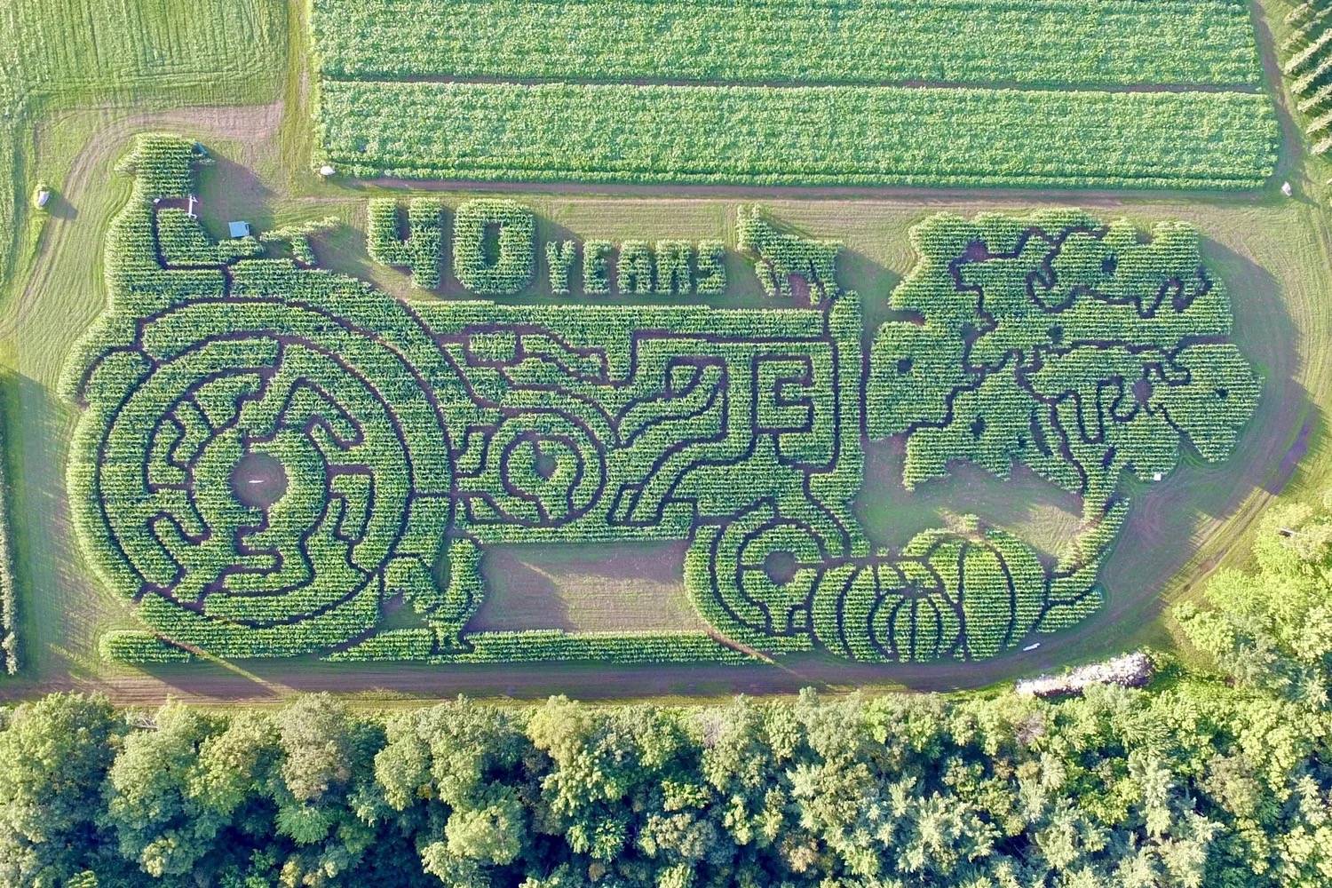 Treworgy Family Orchards in Maine has been recognized by USA Today as having cultivated the "Best Corn Maze" in the nation for the fourth consecutive year.