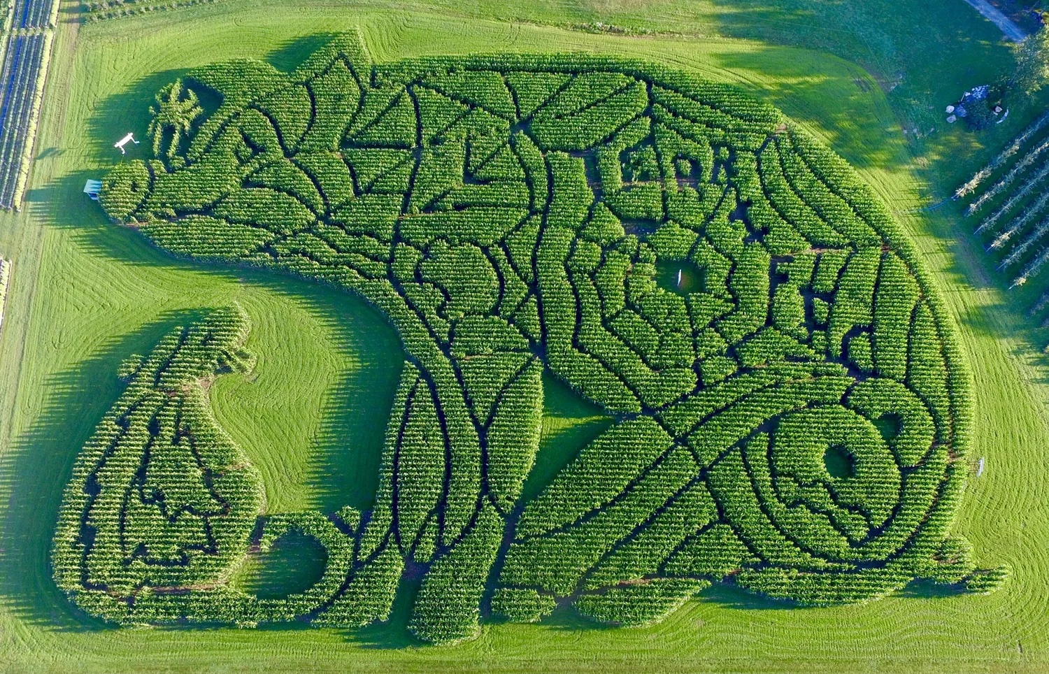 Treworgy Family Orchards in Maine has been recognized by USA Today as having cultivated the "Best Corn Maze" in the nation for the fourth consecutive year.