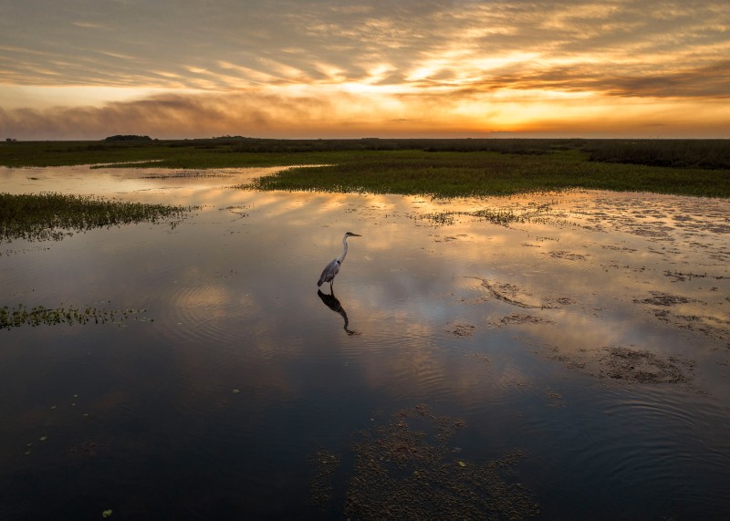 Vital Impacts Environmental Photography Grant and Mentorship