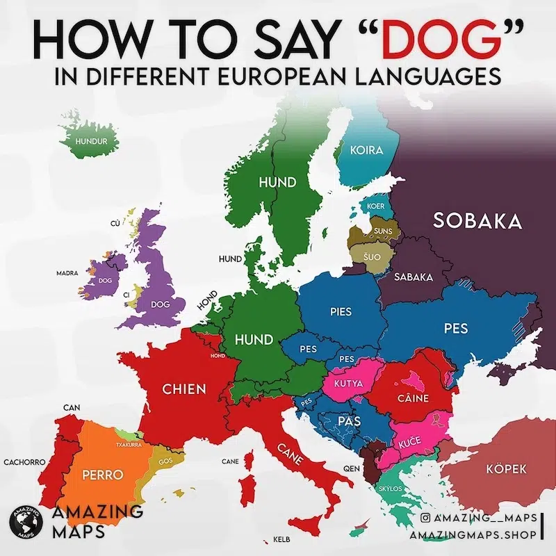 Map Infographics by Amazing Maps