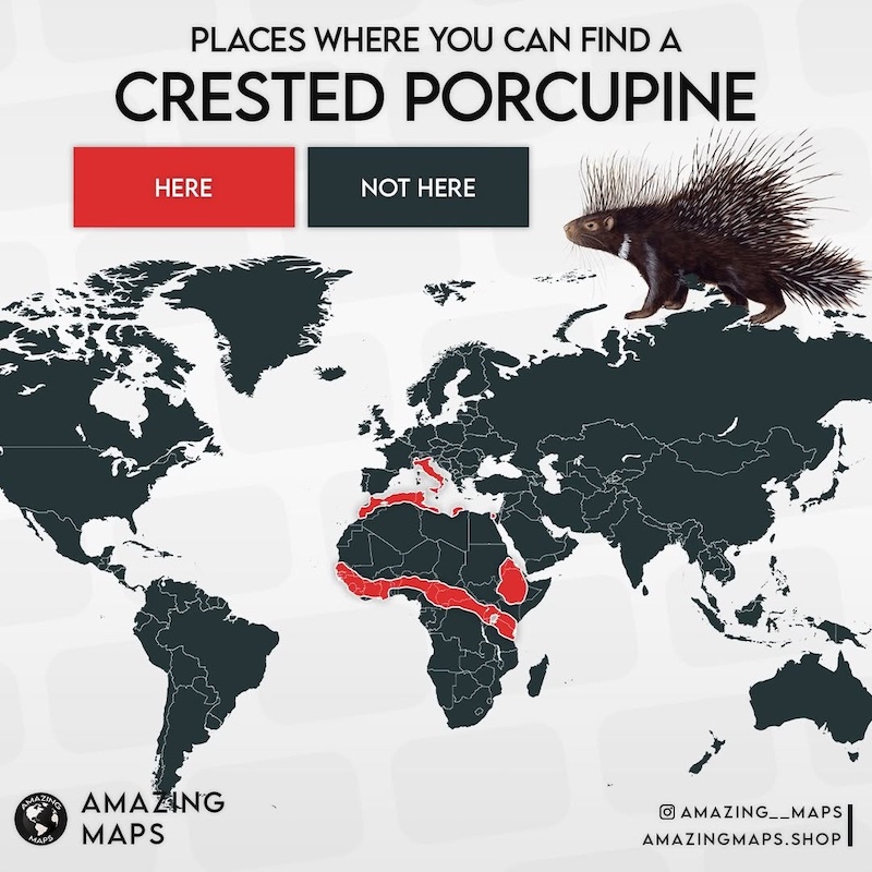 Map Infographics by Amazing Maps